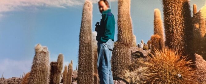 Soft Cock Sex book review